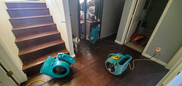 Best 24/7 water damage repair  in Lone Oak, TN