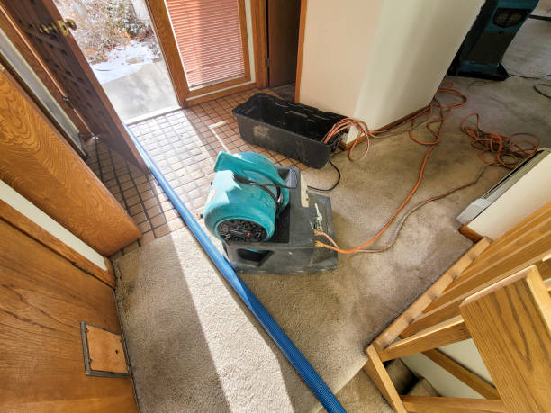 Best Commercial water damage restoration  in Lone Oak, TN