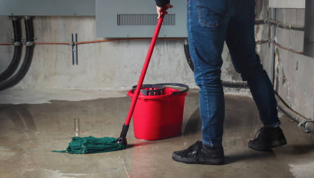 Best Water damage cleanup near me  in Lone Oak, TN