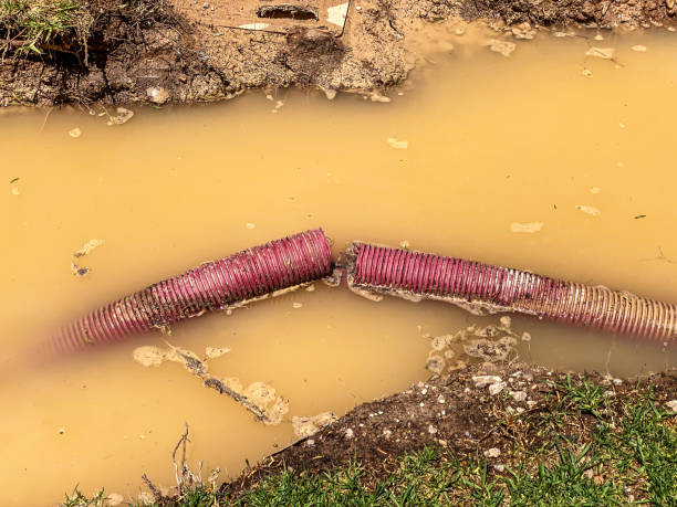Best Water damage repair service  in Lone Oak, TN