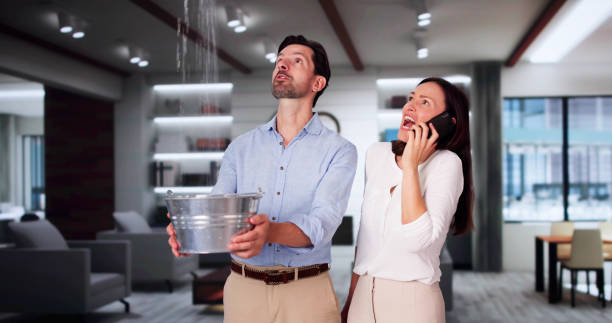 Best Commercial water damage restoration  in Lone Oak, TN